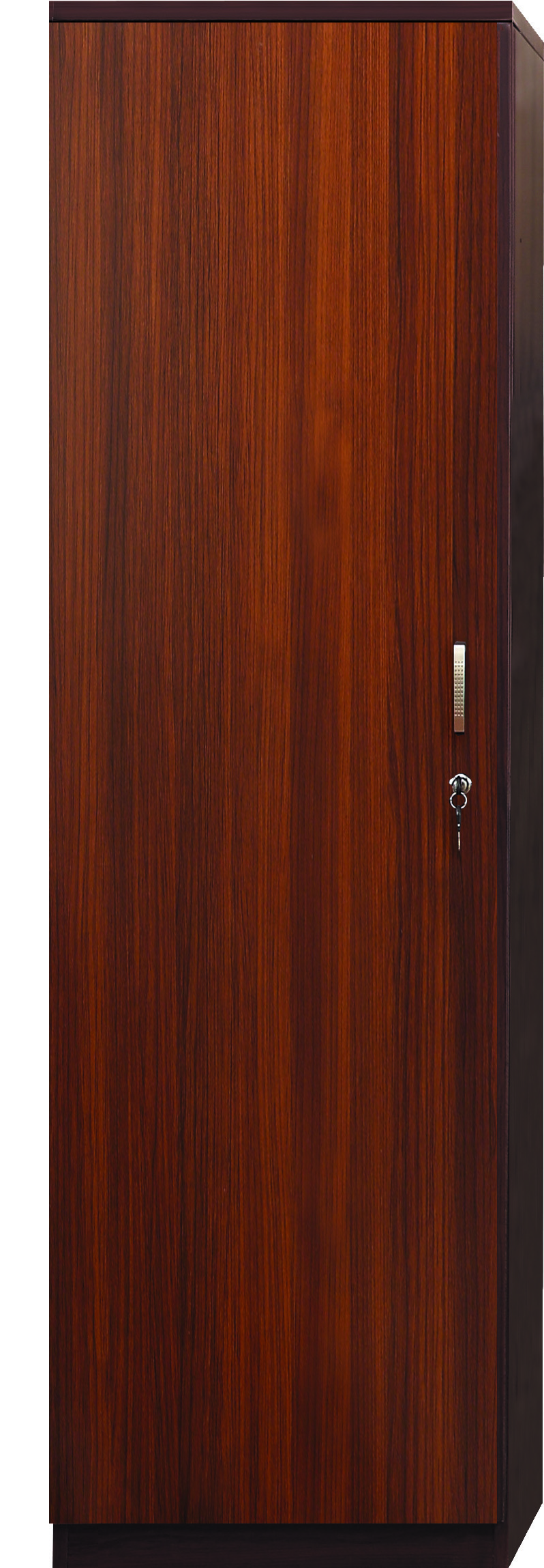 CIN-113L