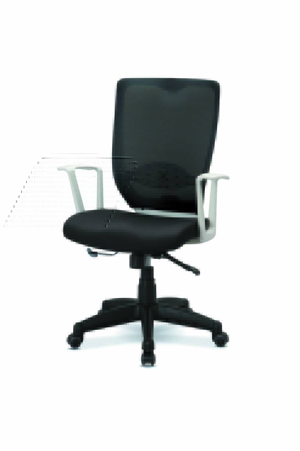 H111N3D(아담화이트(검)중)